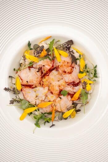 vertueux restaurant paris plat Mai25 ninacoriton 59 350x525 - Le Vertueux <br /><small>une expérience <br /> culinaire unique</small>